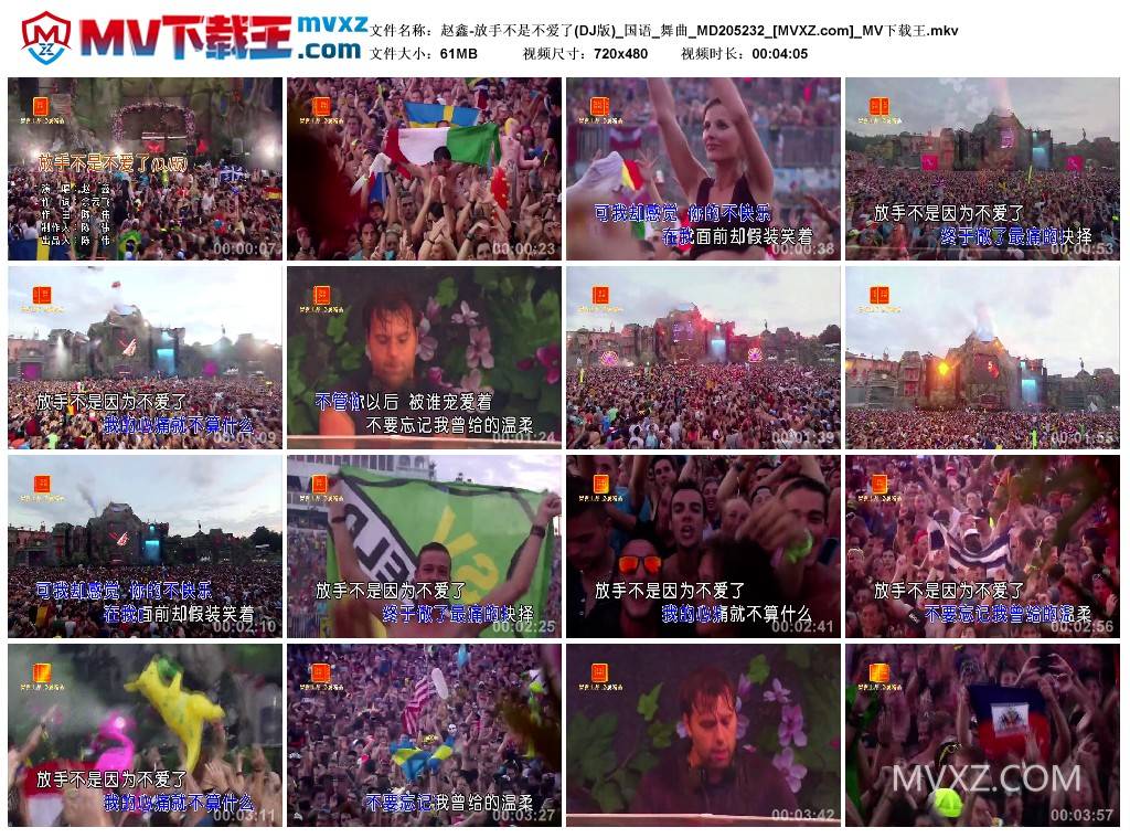 赵鑫-放手不是不爱了(DJ版)_国语_舞曲_MD205232